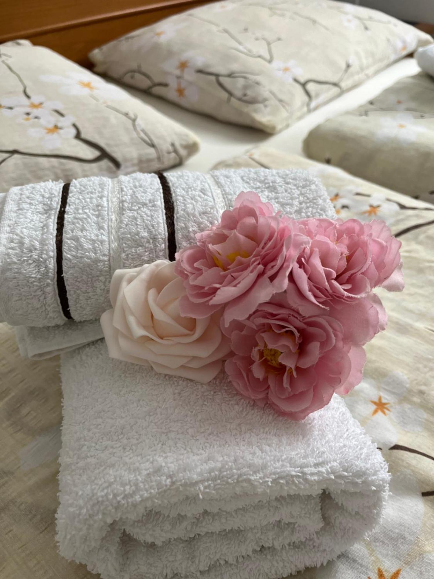 Guest House Stefanija 波利亚纳克 外观 照片